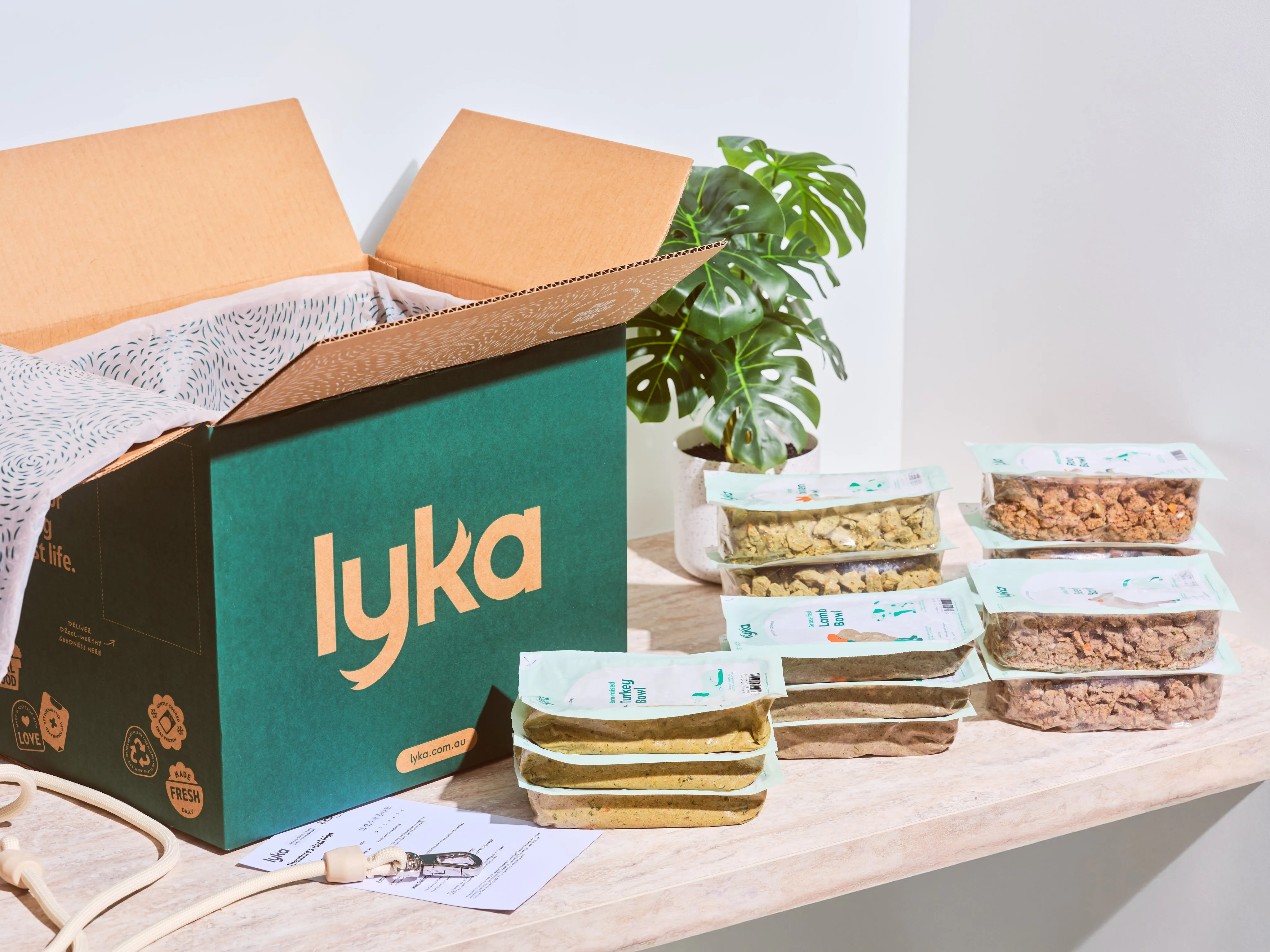 Lyka meal being served into a dog's bowl