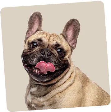 Fresher breath and healthier gums